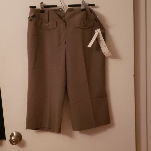 Larry Levine Pants - NWT LARRY LEVINE CITY SHORTS